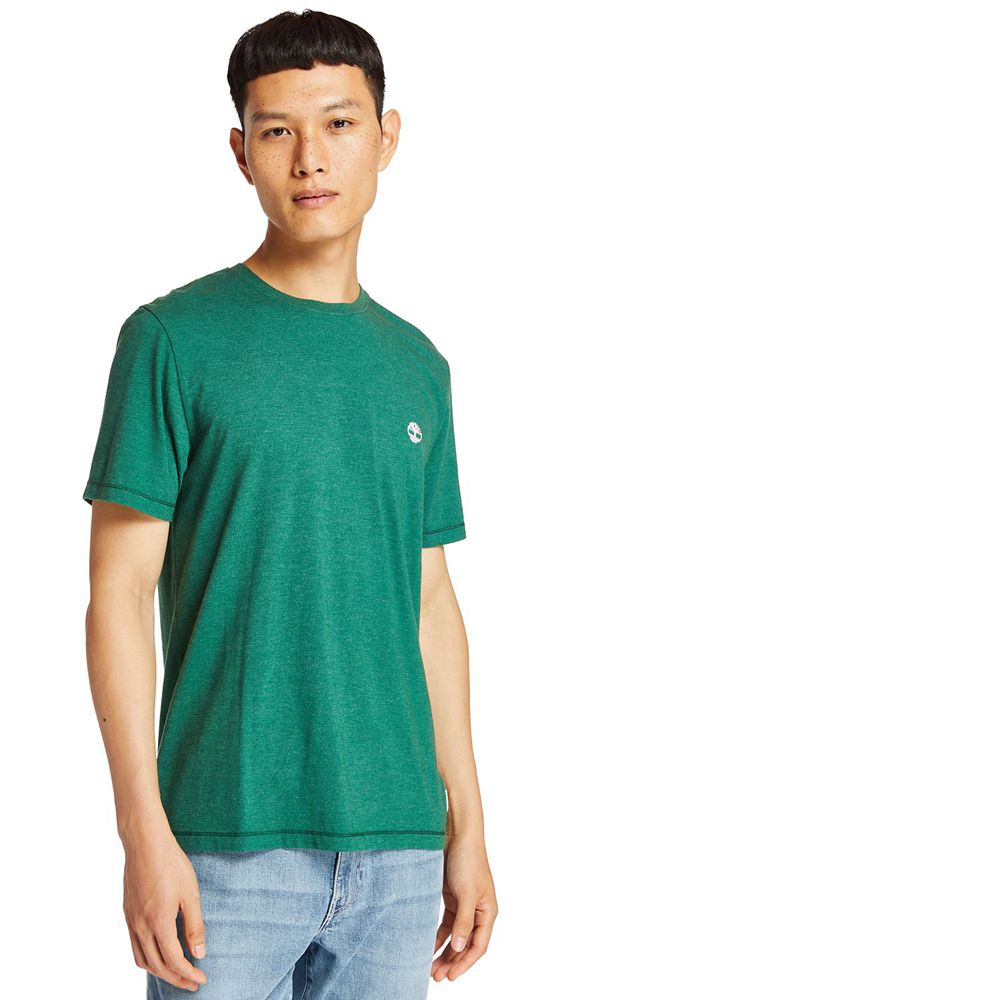 Camisetas Timberland Argentina Hombre - Mohawk River Jersey - Verde - NLFUTV-160